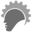BrainIOStream