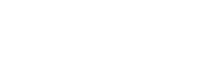 BrainIOStream